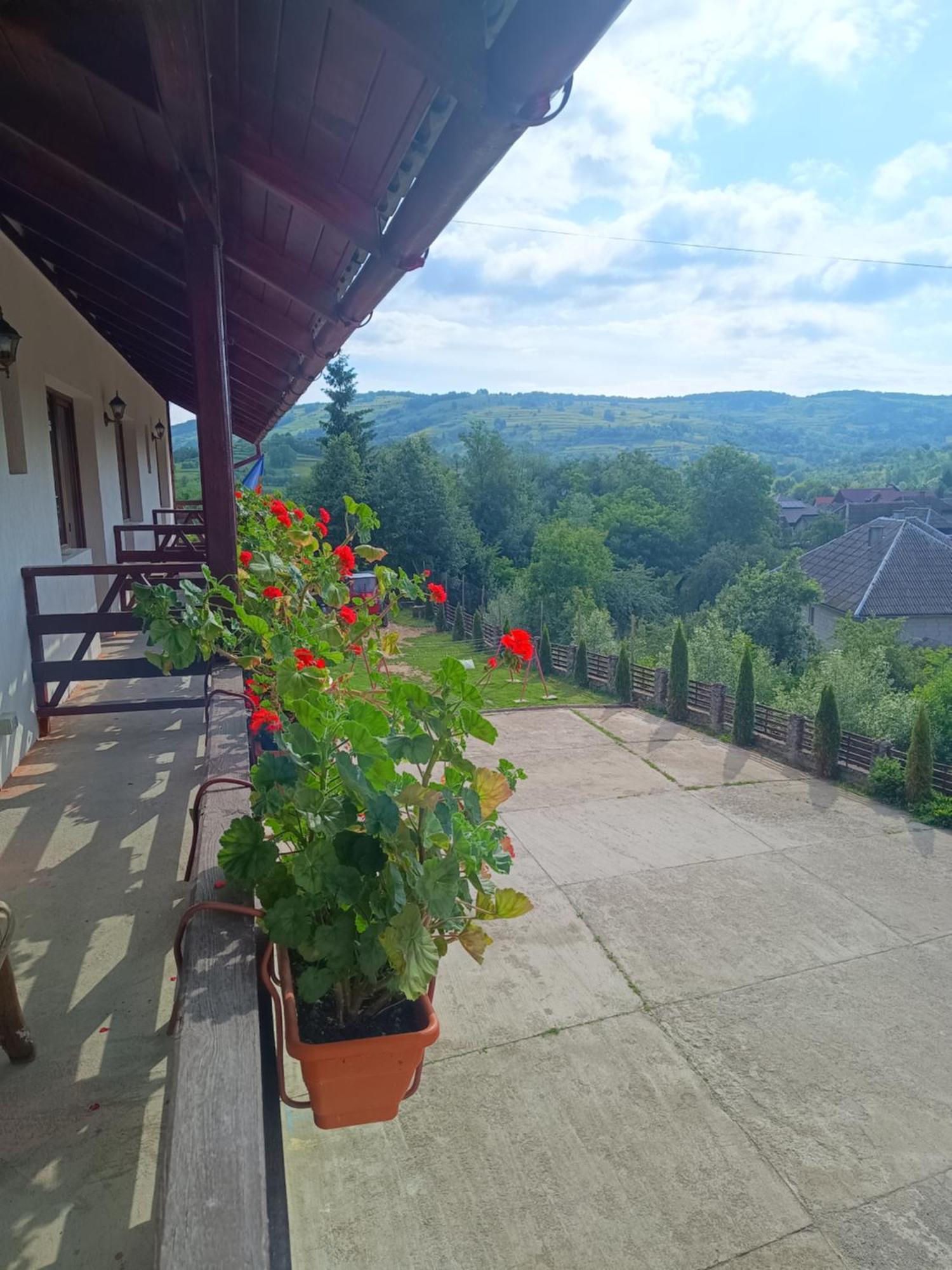 Pensiunea In Poiana Glod  Buitenkant foto