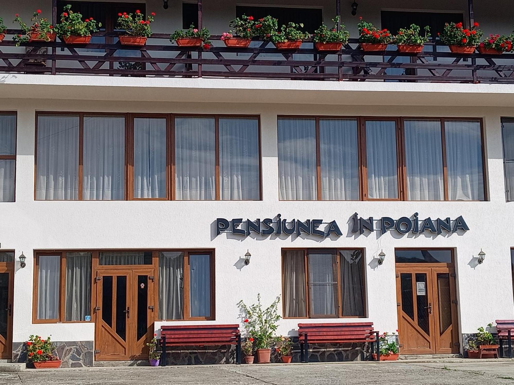 Pensiunea In Poiana Glod  Buitenkant foto